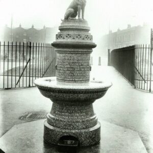 Brown Dog Statue London 23