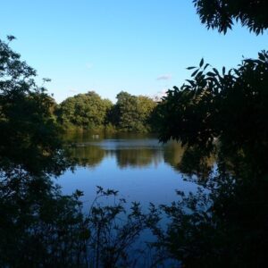 Leg O' Mutton Reservoir And Park London