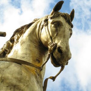 The Molehill On The Equestrian Statue Of William Iii London 51