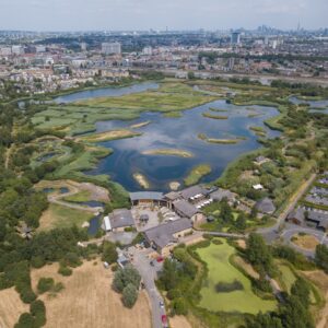 Wwt London Wetland Centre London