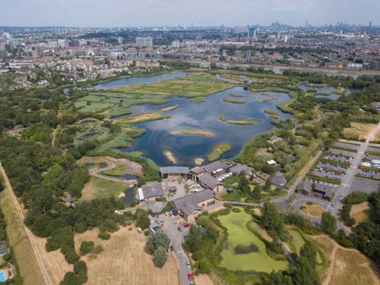 Wwt London Wetland Centre London