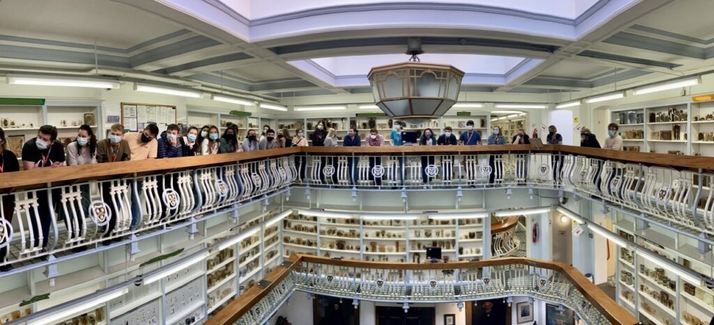 Dive into London's Medical Marvels with Gordon Museum of Pathology Tour ...