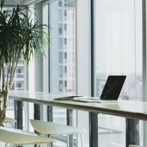 Minimalist office workspace with laptop on counter, white chairs, and tropical plants near floor-to-ceiling windows overlooking city buildings