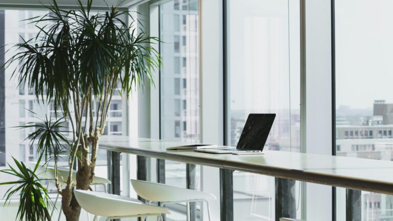 Minimalist office workspace with laptop on counter, white chairs, and tropical plants near floor-to-ceiling windows overlooking city buildings