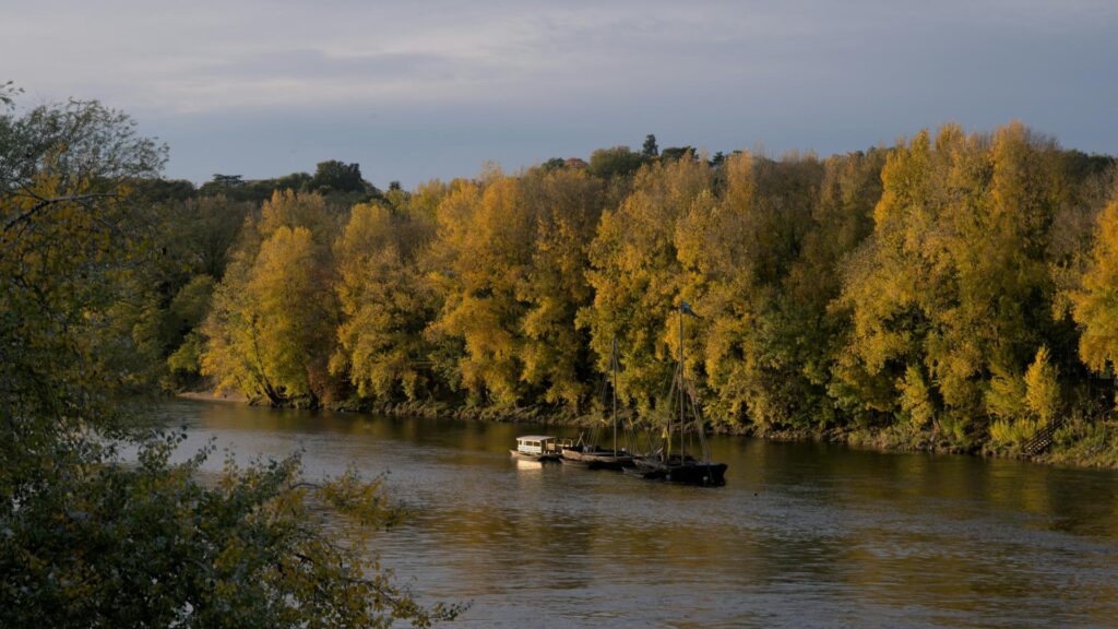 A wheelchair user boarding a Thames river boat with assistance