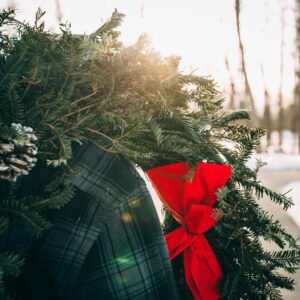 A green wreath with a red bow and pinecones against a snowy outdoor background.