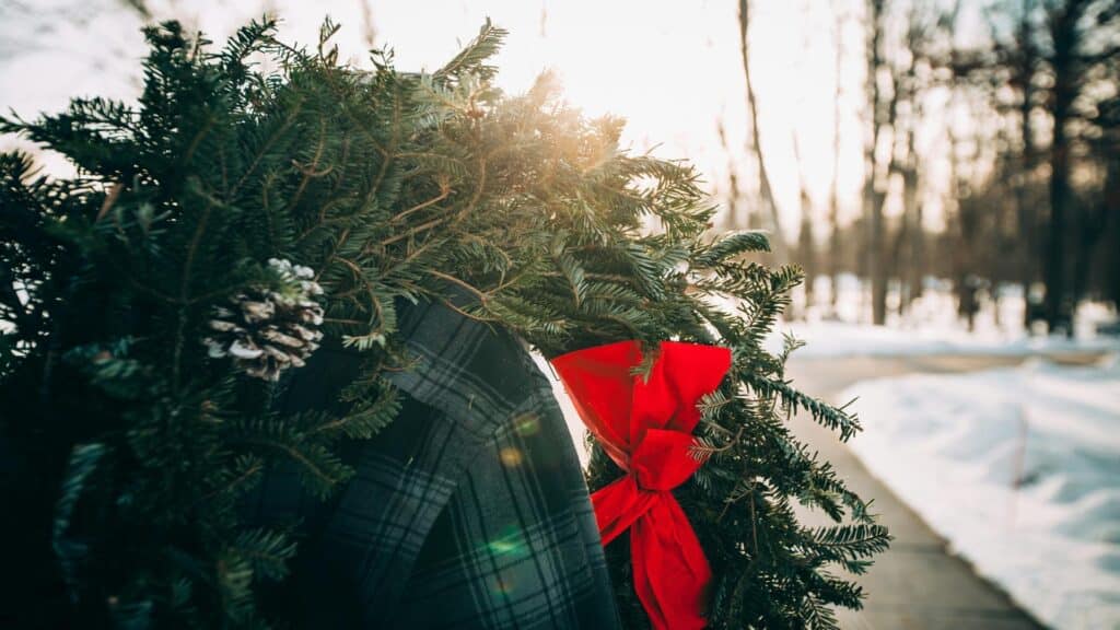 A green wreath with a red bow and pinecones against a snowy outdoor background.