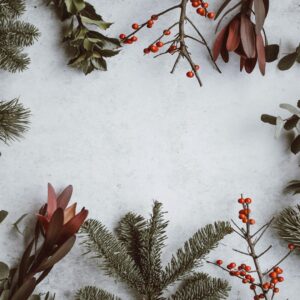 A flat-lay of Christmas greenery and berries arranged on a light background.