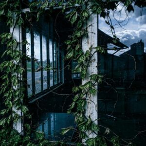 Abandoned workshop overgrown with ivy, reflecting a moody sky, captured in Essex by London Sightseeing Taxi Tours.