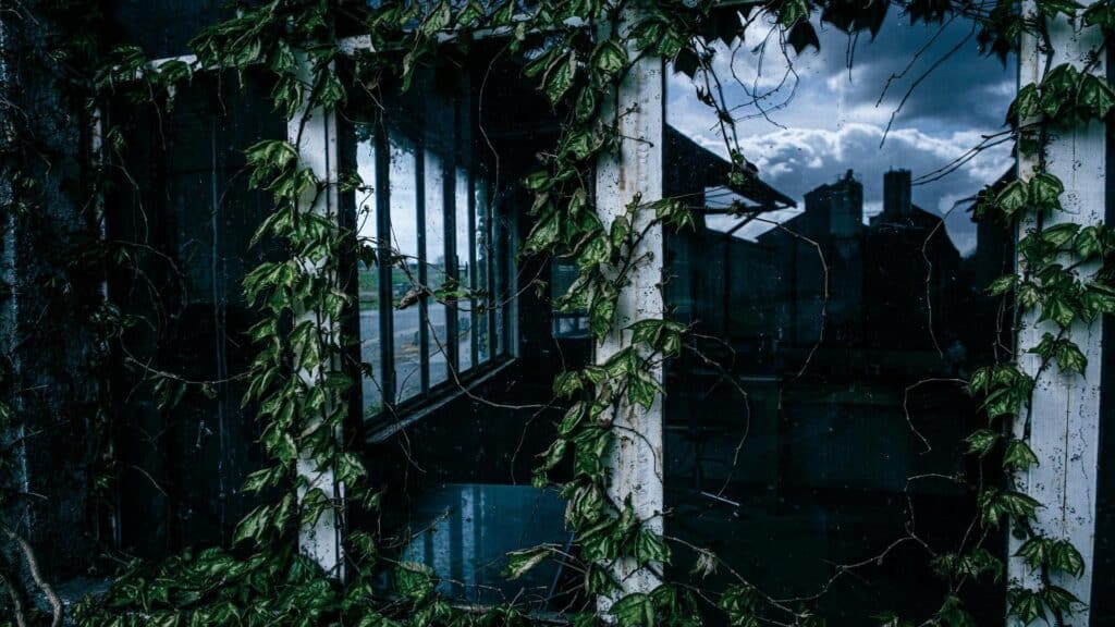 Abandoned workshop overgrown with ivy, reflecting a moody sky, captured in Essex by London Sightseeing Taxi Tours.