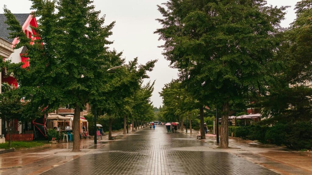 A rainy street lined with trees and small shops, with people holding umbrellas.