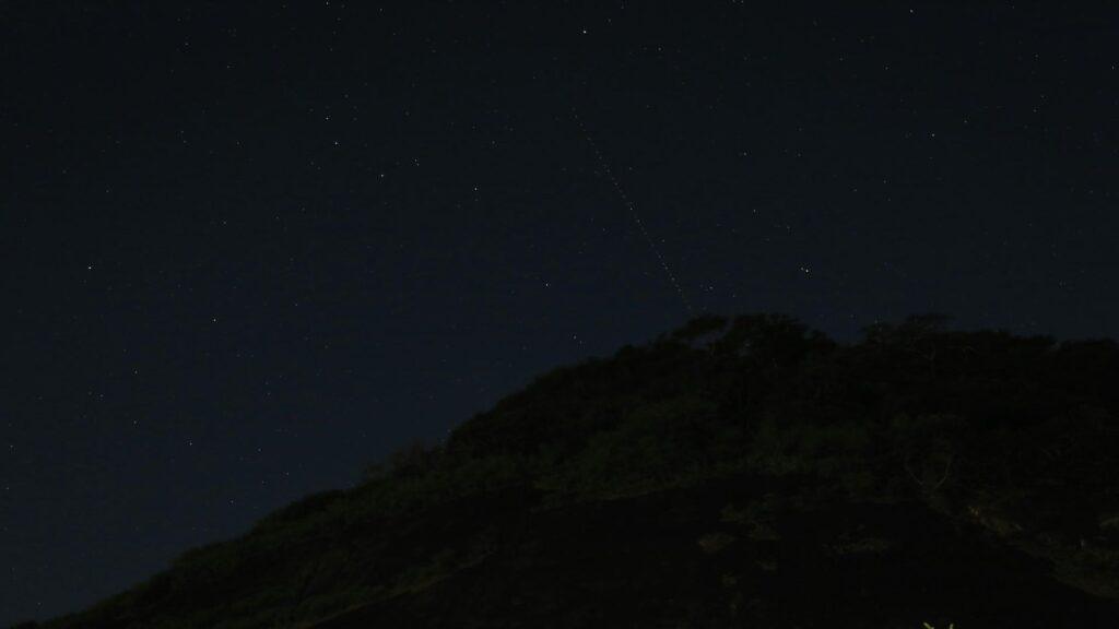 Starry night sky over a forested hill captured during Stopover Tours in Essex