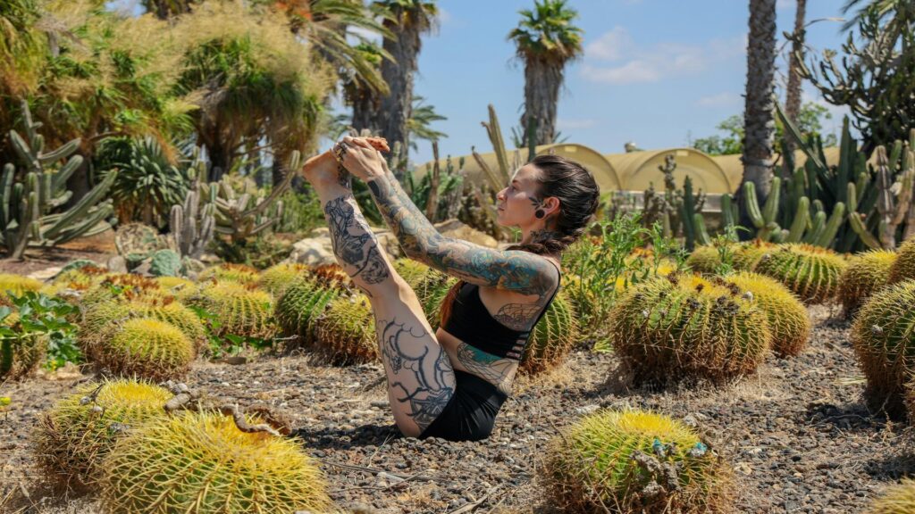 Person practicing yoga surrounded by cacti