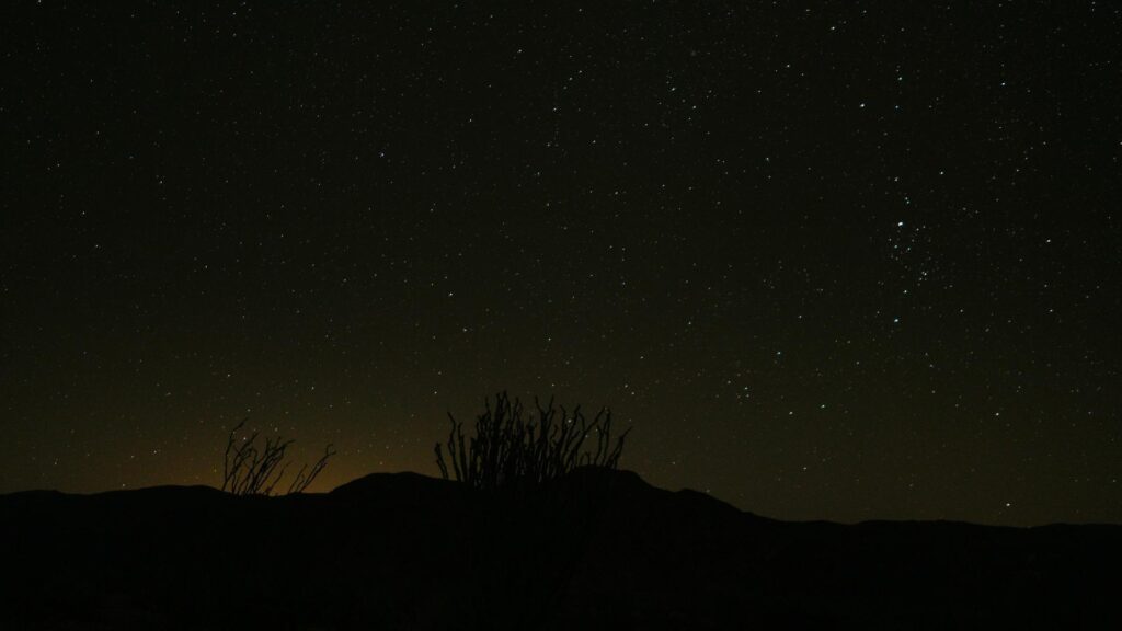 A dark desert landscape under a star-filled night sky.