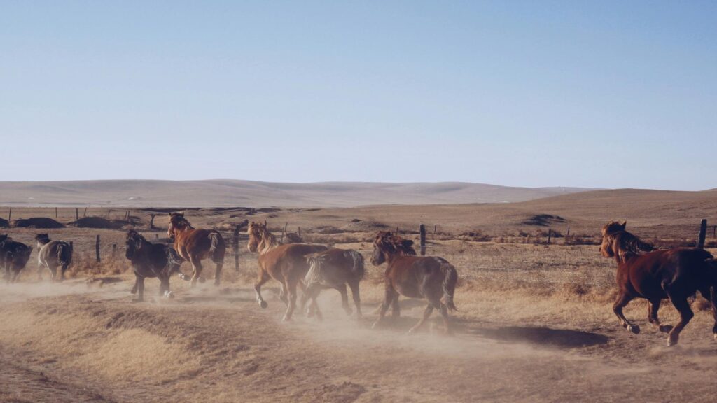 A herd of horses galloping across a dusty prairie landscape with rolling hills in the background