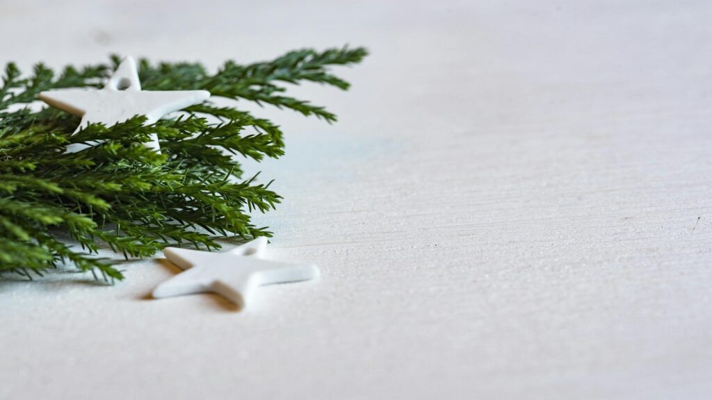 Close-up of green evergreen branches with white star-shaped ornaments on a light background