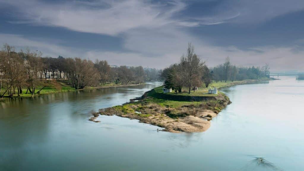 Aerial view of a river confluence in London with bare trees and misty winter atmosphere