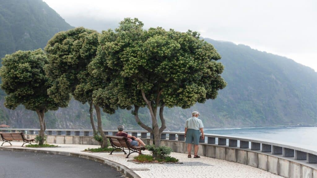 A serene coastal promenade with lush green trees, benches, and a view of the ocean and mountains.