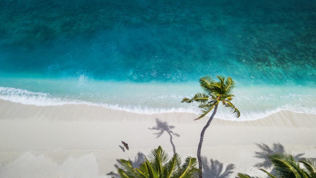 Aerial view of a tropical beach with turquoise water, white sand, and palm trees.