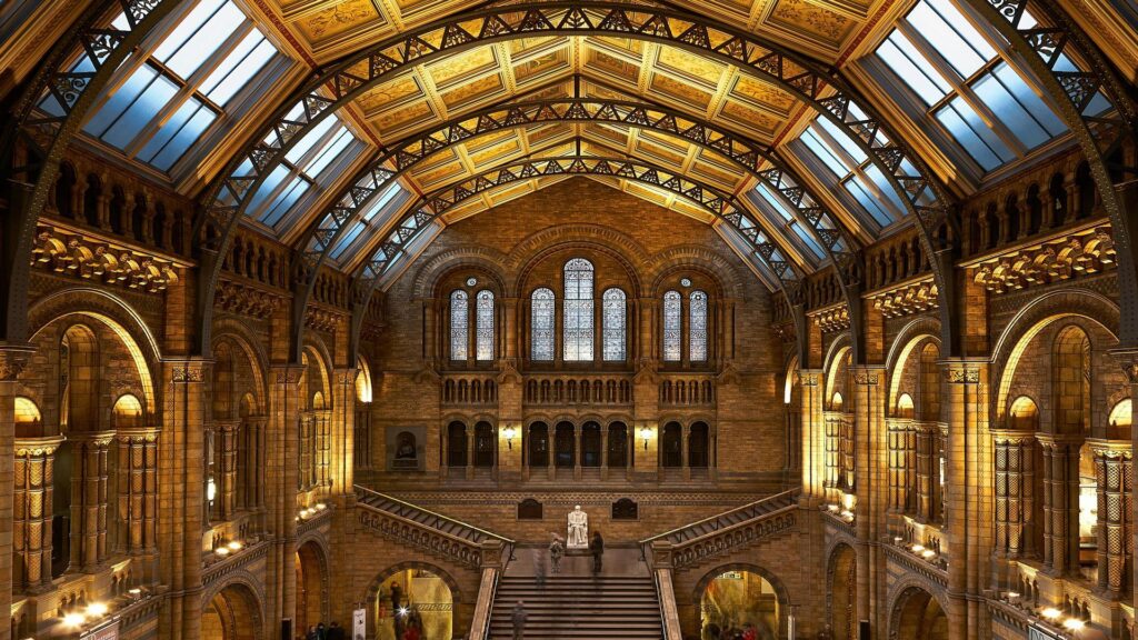 Interior view of the Natural History Museum's Hintze Hall featuring Victorian Romanesque architecture with vaulted glass ceiling, ornate arches, and grand staircase