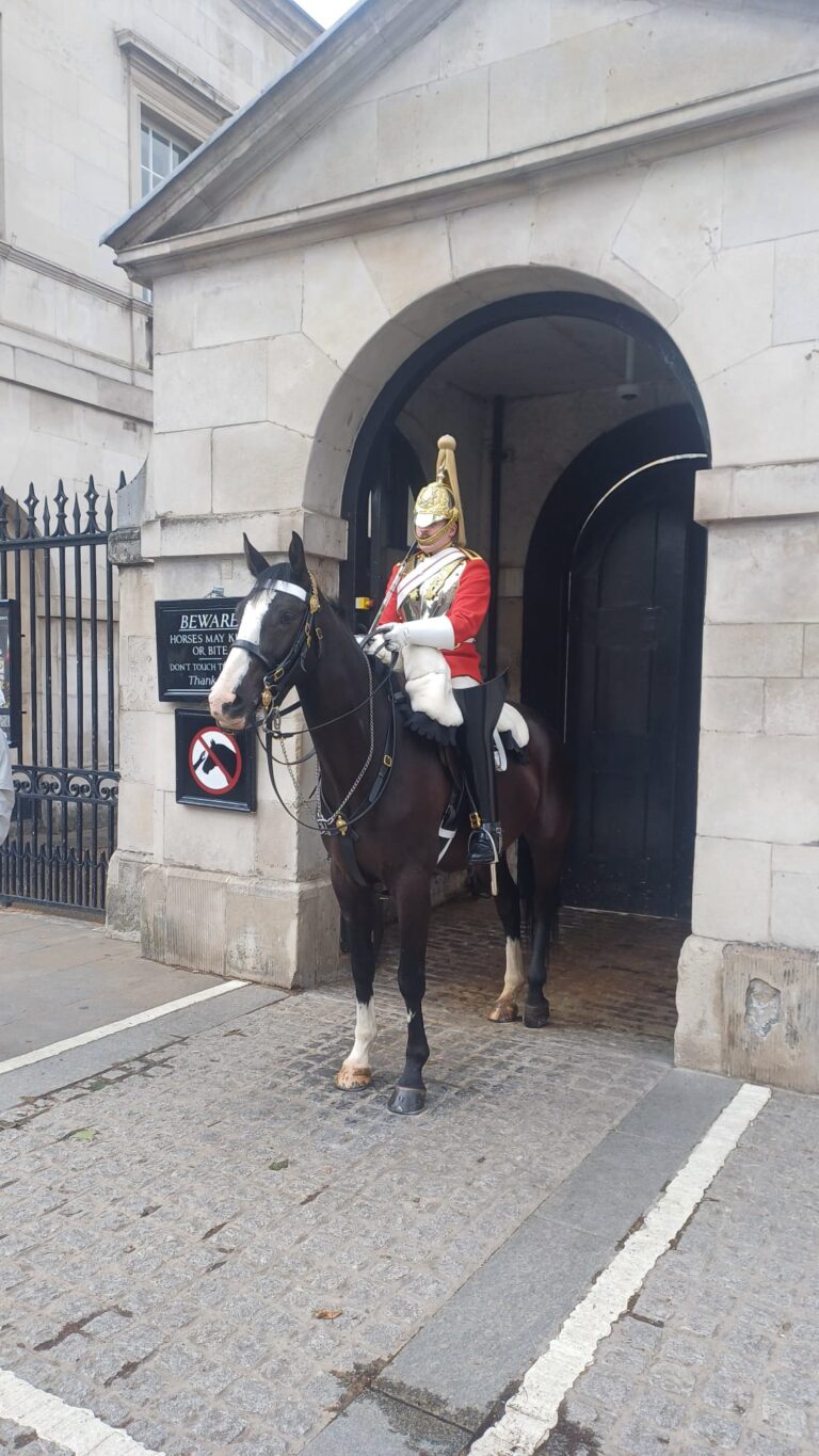 Best London Guides featuring a traditional Horse Guard during a sightseeing taxi tour in London