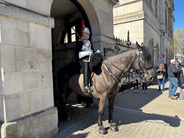 Local tour guide showcasing London's iconic mounted guards during sightseeing taxi tours for visitors exploring the city