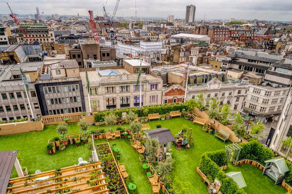Aerial view of a vibrant rooftop garden in London, showcasing the places of interest of London with city skyline and sightseeing opportunities via London Sightseeing Taxi Tours