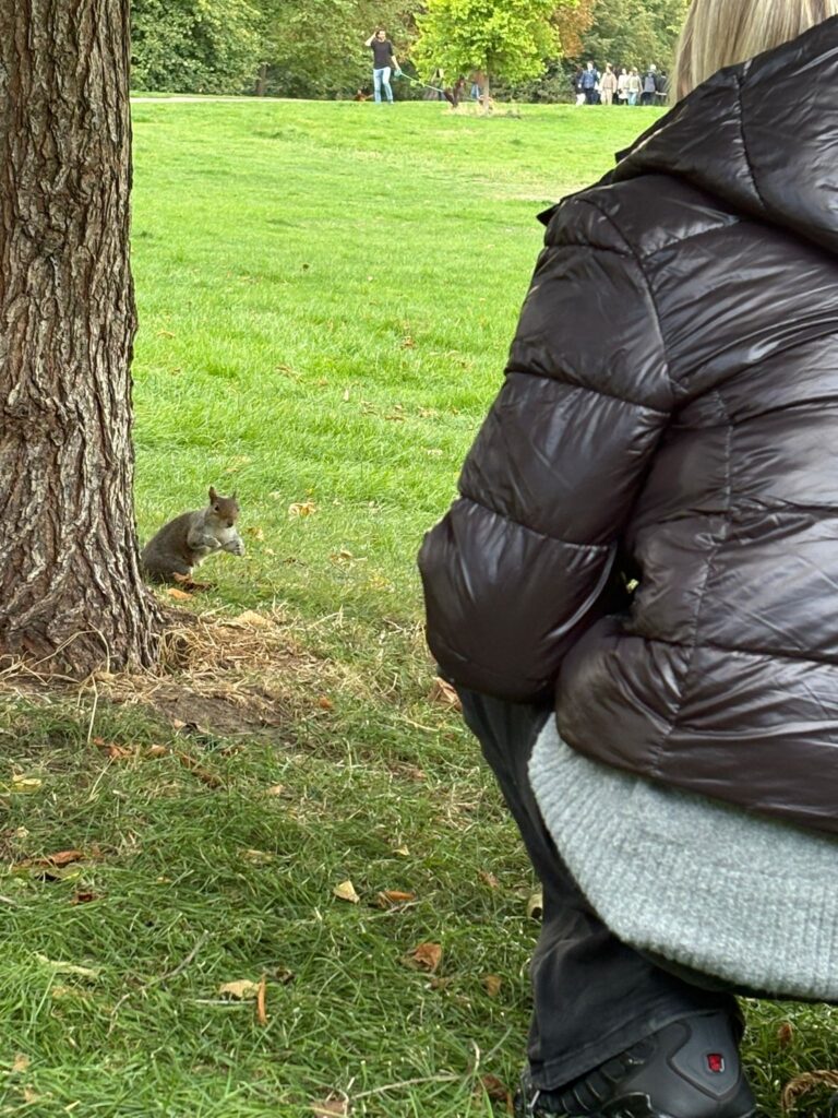 Tourist observing squirrel in London park during tours by locals phone number sightseeing experience