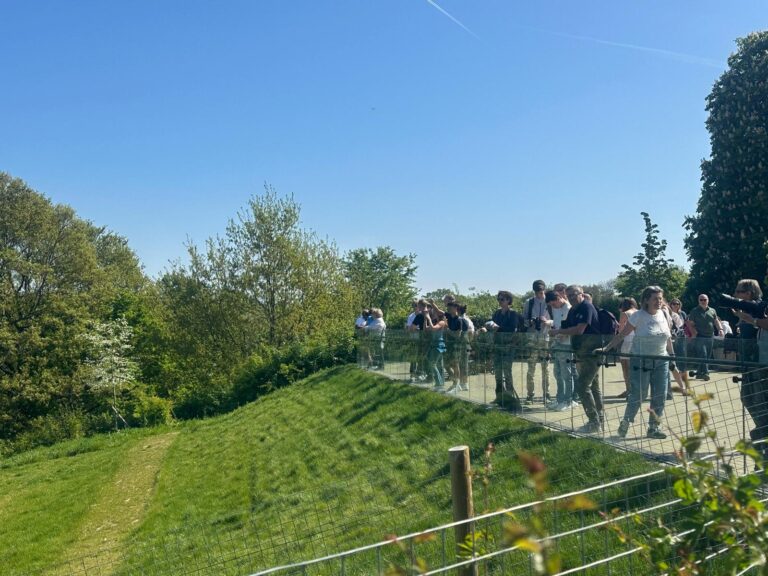 Tourists enjoying a London Christmas lights taxi tour booking online