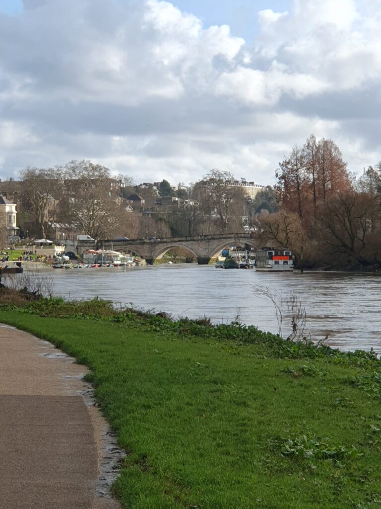 A fully wheelchair-accessible black cab for top-rated tours in London